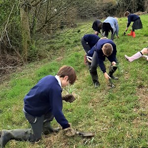 Sustainable Bourne Valley Hirst Meadow