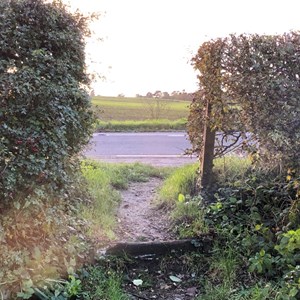 Asenby Parish Council Local Walks