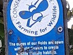 The sign reads: "The crops of our fields are sown with wild flowers to create wildlife friendly habitats". ©EH