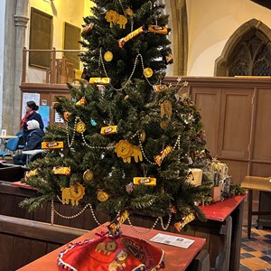 Boroughbridge Lions Club Gallery 2025