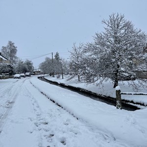 BISHOP MONKTON TODAY Snow January 2025