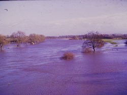 River Eden in flood