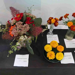 Goodworth Clatford Parish Council  Fete 2026 photos