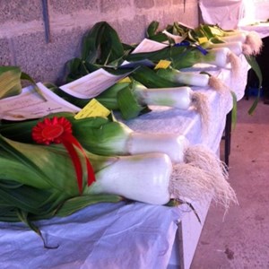 Hedley Horticultural Show