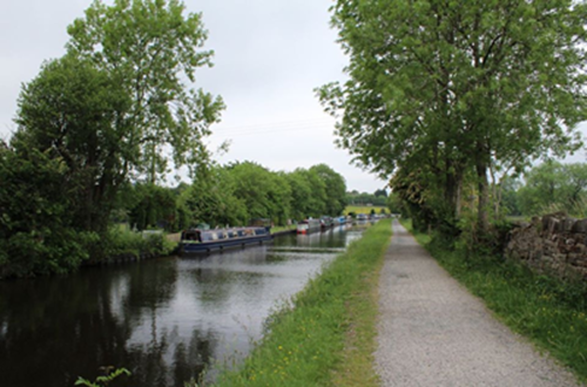Canal at Salterforth