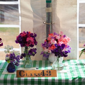 HBT Horticultural Society Photographs 2025