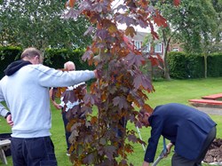 Smiths Dock Bowling Club Dave Little Memorial Tree 24/6