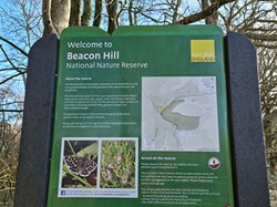 Then Beacon Hill Nature Reserve. ©BT