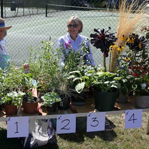 Goodworth Clatford Parish Council  Flower Show  2025 photographs.