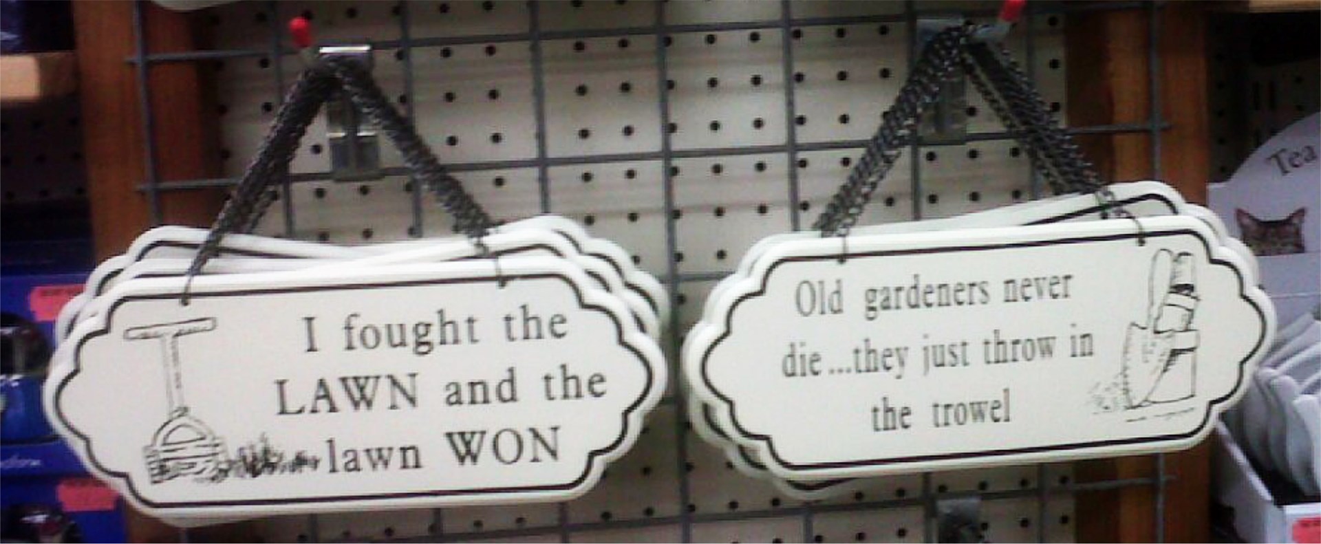Probus Club of Wigston Words of wisdom...