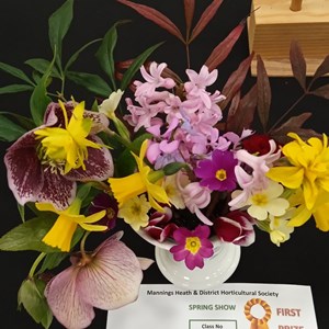 Mannings Heath & District Horticultural Society Photo Gallery