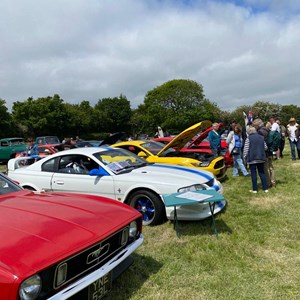 Louth & District Lions Classic Car Show