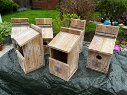 The RWB Shed Finch & Robin Nest Boxes