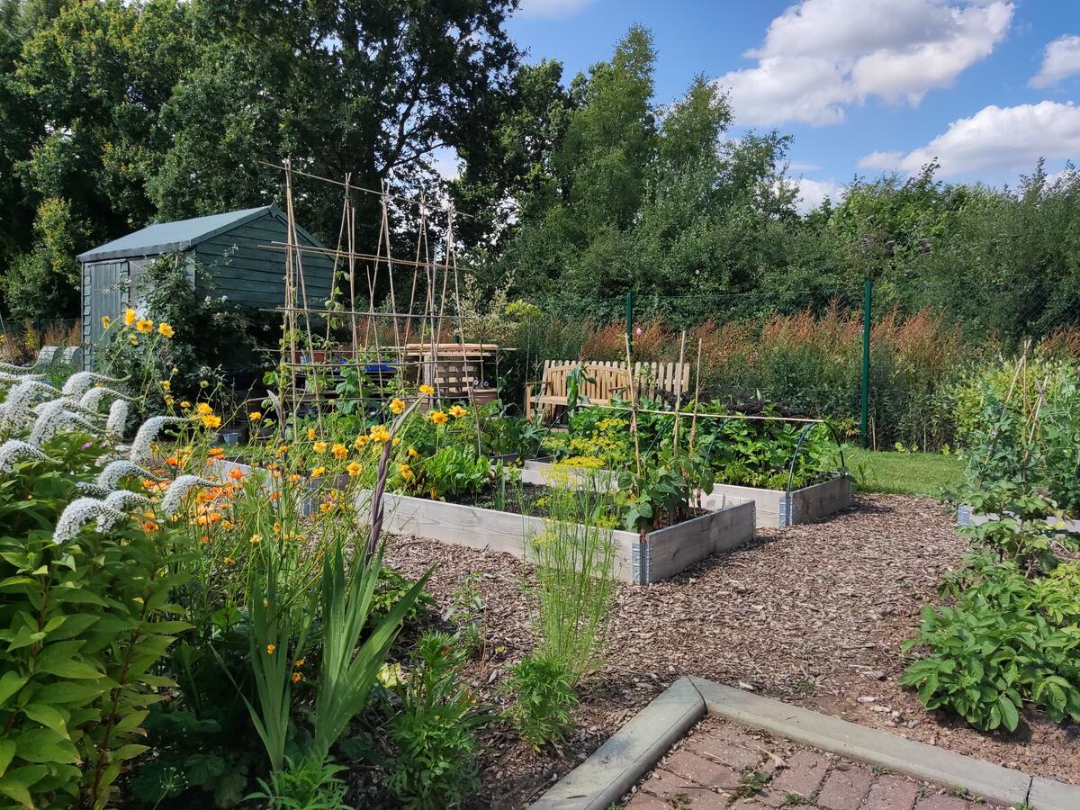 Winner of Oakley’s Best Allotment