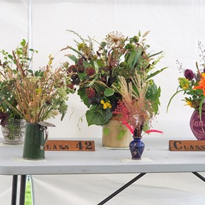 HBT Horticultural Society Photographs 2023