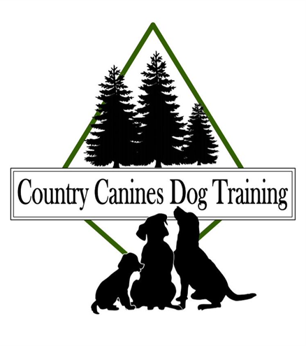 Midsummer Fair 2026 Fun dog show