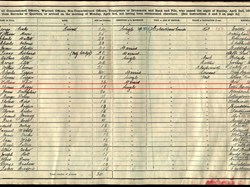Census 1911