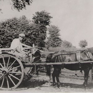 Chillerton and Gatcombe Parish Council Old Chillerton from Brian Greening