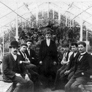 Gardeners in Greenhouse