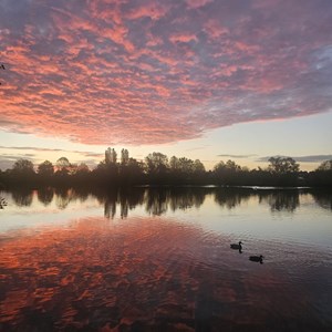 Sunrise at the lake