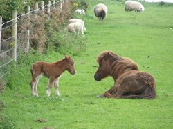 Photo by Bryony Stasaitis