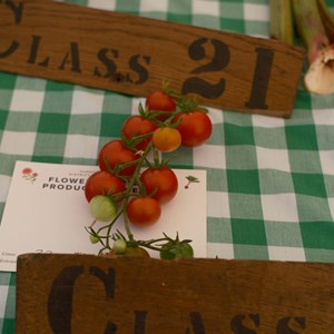 HBT Horticultural Society Photographs 2026