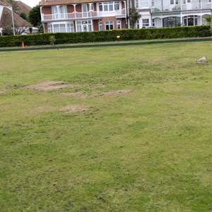 Green Starting to Improve