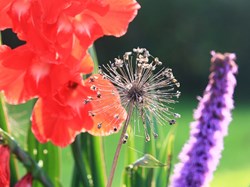 Photo by Helen McCormack