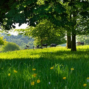 Hilton Parish Council Hilton Parish Gallery