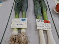 Bucklebury and Marlston Horticultural Society Autumn Show Report 2026