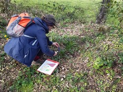 Staffordshire Wildlife Trust ecological survey