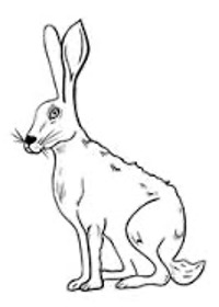 Ashmansworth Parish Council February 2026, on Hares
