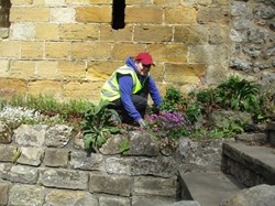 Tidying the Woodend Tower border - 25th April