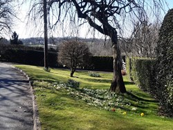 Cannock Wood Parish Council Location