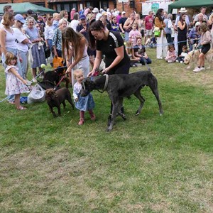 Goodworth Clatford Parish Council  Fete 2026 photos