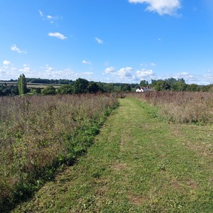 BMAT Langley Park country park