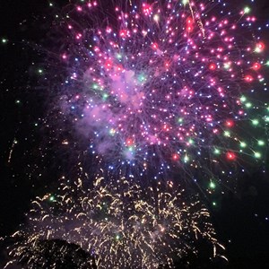 Louth & District Lions Bonfire