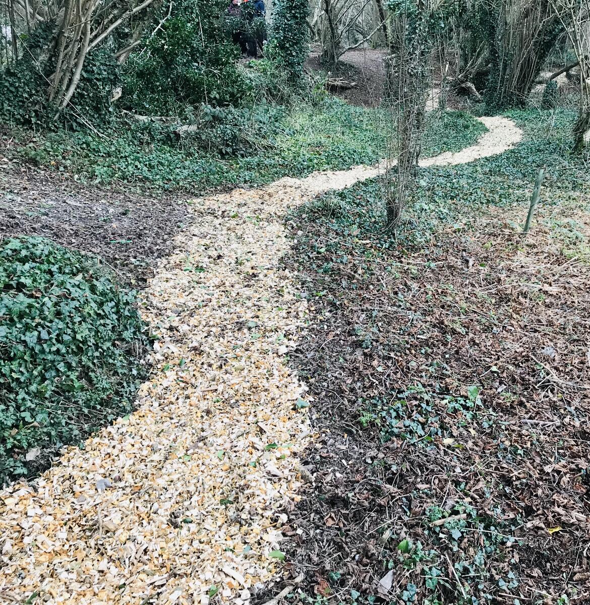 Hazel chippings spread on access path