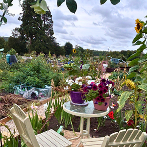 Allotment 35