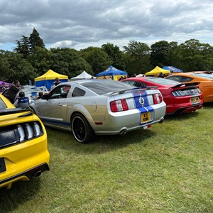 Louth & District Lions Classic Car Show
