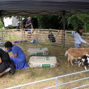 Goodworth Clatford Parish Council Village Fete/Garden Show