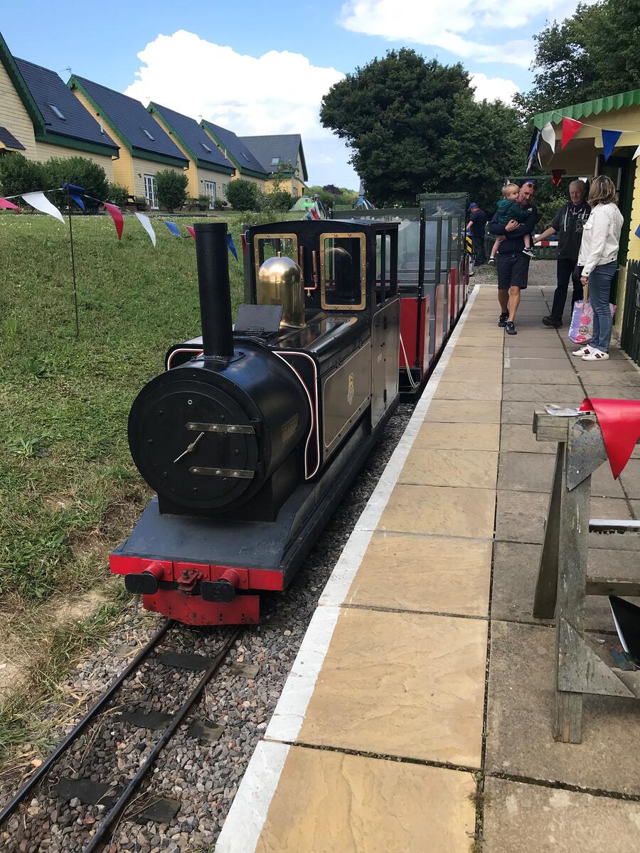 Hasty, diesel hydraulic BoBo steam outline loco. Has been bought by a group member from Hastings Miniature Railway.