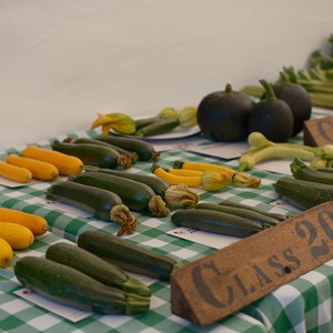 HBT Horticultural Society Photographs 2026