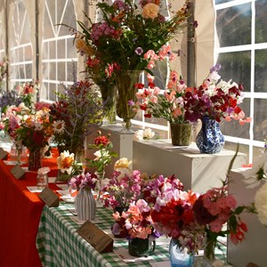 HBT Horticultural Society Photographs 2026