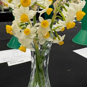 Mannings Heath & District Horticultural Society Photo Gallery