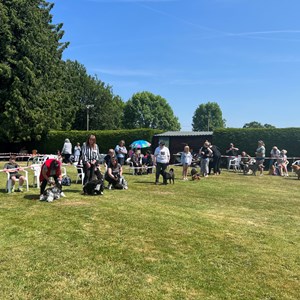 Whixall Social Centre Whixall Dog Show 2023 Report and Phots