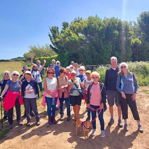 23 May 2025 - Godshill walking group out in the sunshine again this morning! Fab 5 miler from Wroxall, skirting St Martins Down.