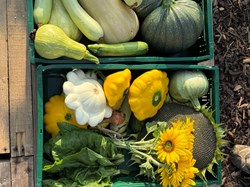 Harrow And Pinner Lions Club (CIO) Food Hub