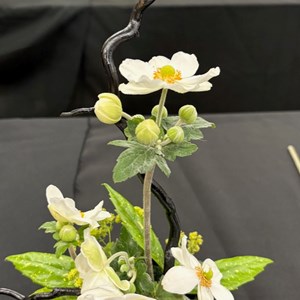 Mannings Heath & District Horticultural Society Photo Gallery