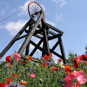 Meetings, Wrockwardine Wood and Trench Parish Council